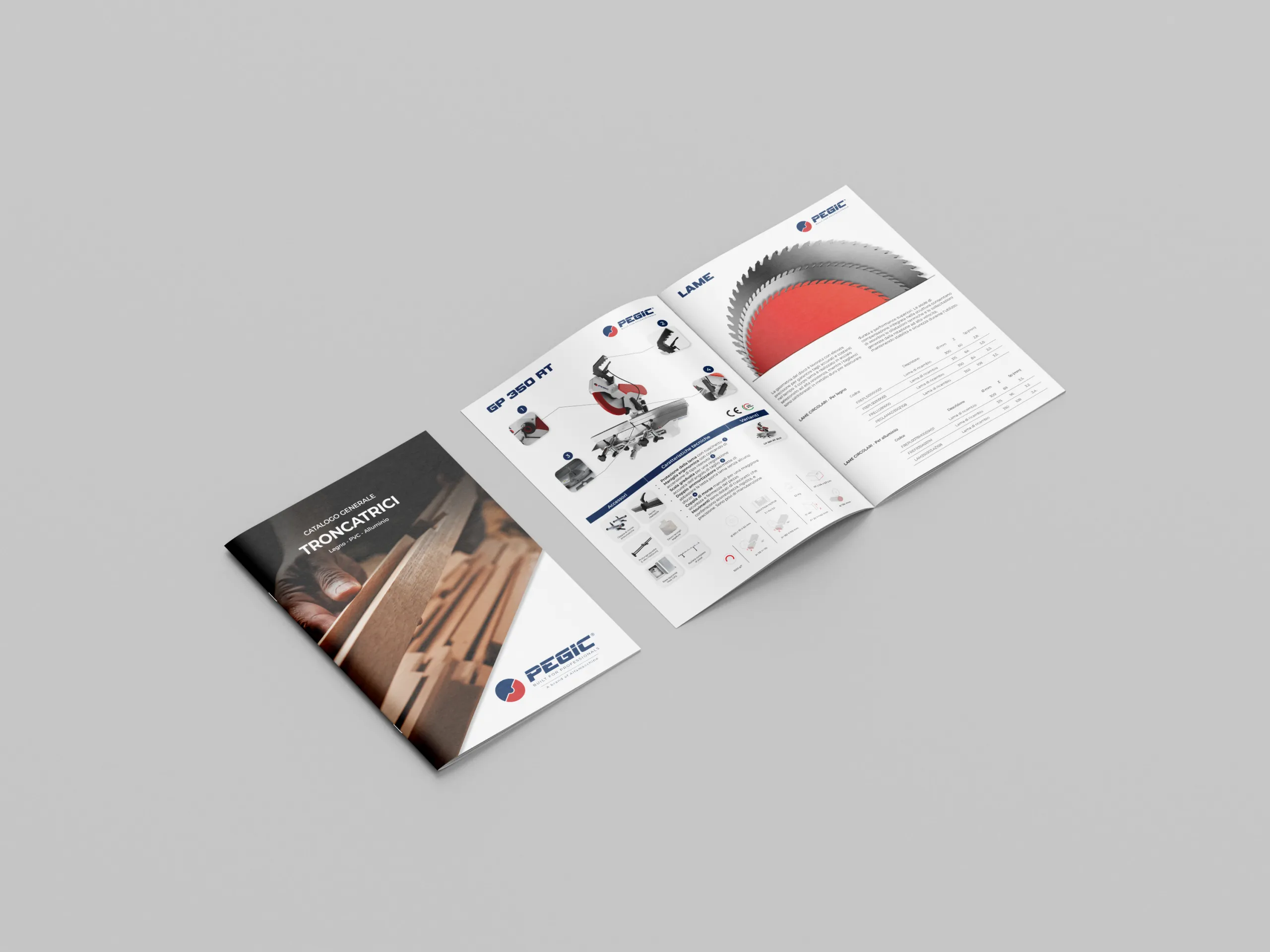 Catalogo_2 Brand Identity_PEGIC
