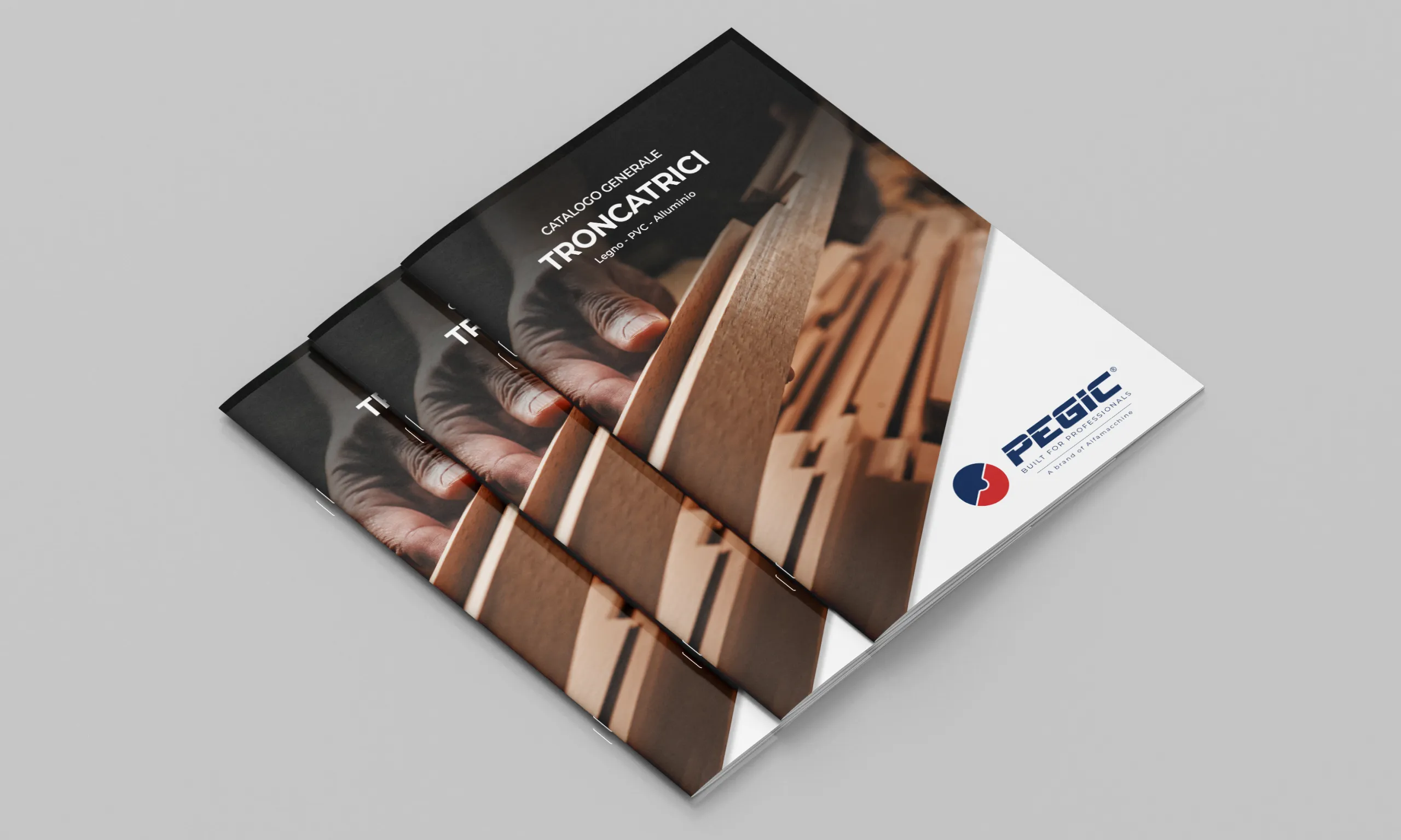 Copertina_Catologo_1_v2 Brand Identity_PEGIC